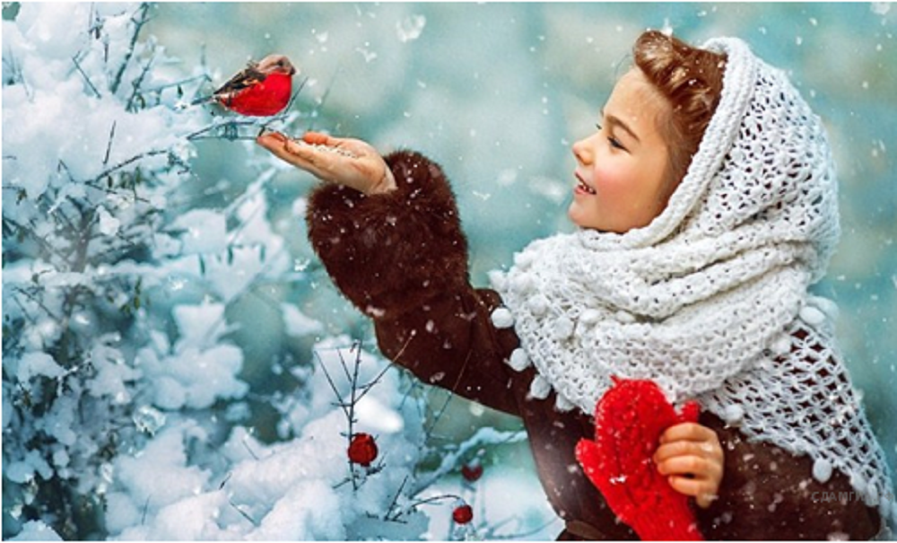 источник - https://ruso-oge.sdamgia.ru/test?id=1317289&print=true