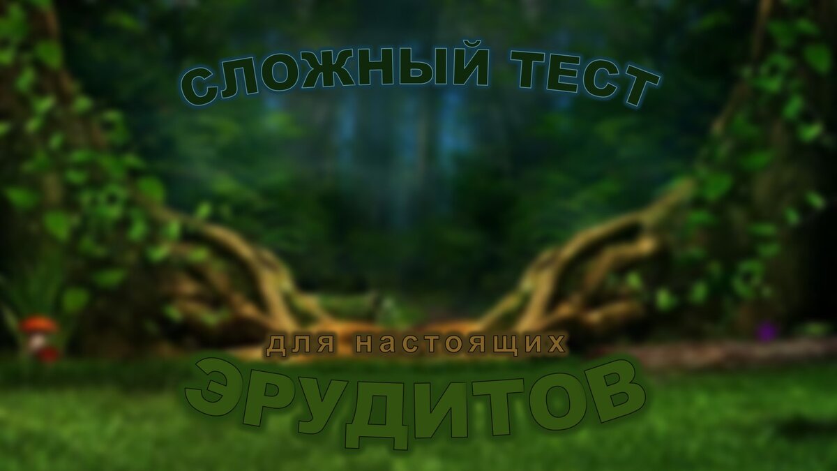 Тест №69