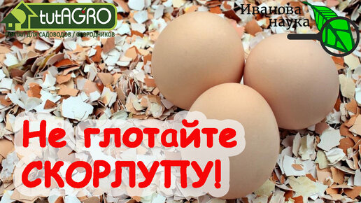 44 ПРИЧИНЫ ОСТЕОПОРОЗА или СКОЛЬКО КАЛЬЦИЯ НУЖНО ДЛЯ ЗДОРОВЬЯ КОСТЕЙ, ЗУБОВ и ВСЕГО ОРГАНИЗМА.