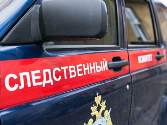     Саратовские следователи сообщили о росте числа коррупционных преступлений в 2022 году Фото: СУ СК РФ по Саратовской области