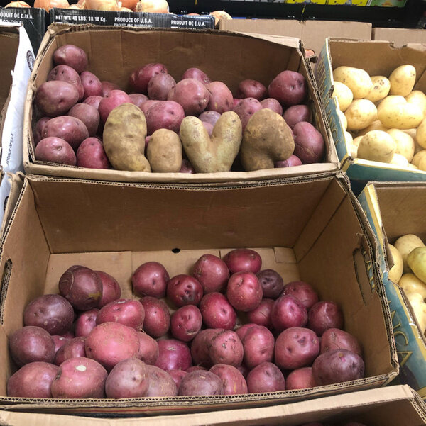 Фото © Reddit / onlineamy