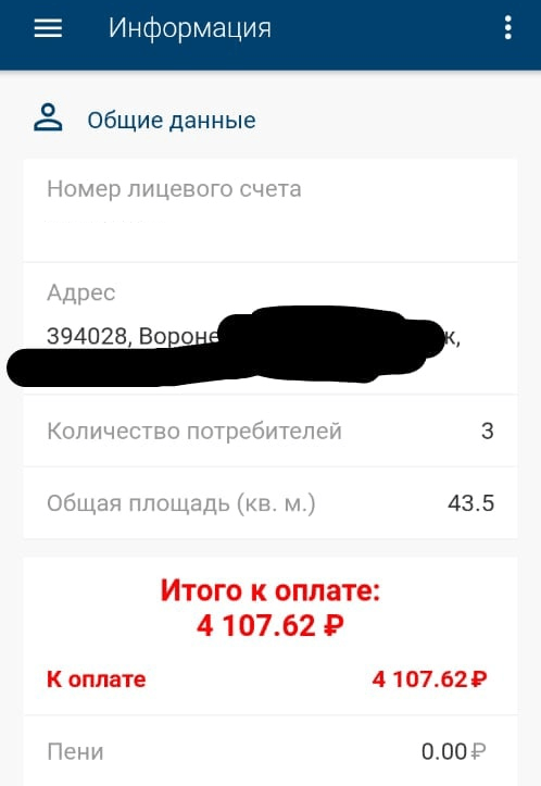    Квитанция жительницы Воронежа. Фото: соцсети