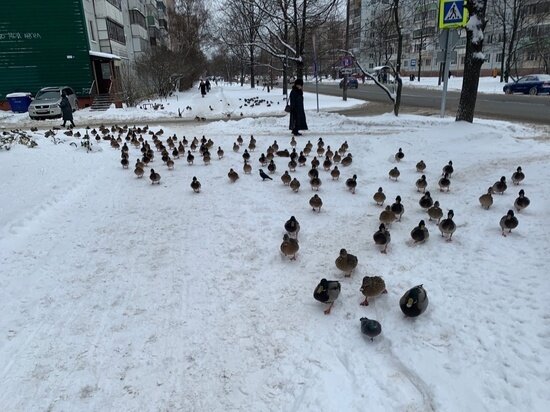    Фото Виктории Федоровской, группа "Микрорайон "Звездный" в социальной сети "ВКонтакте