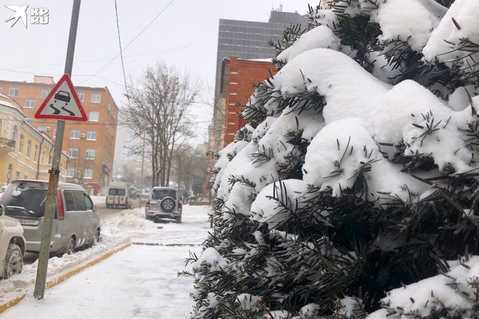     Новая рабочая неделя в Приморье начнется со снегопада. Дарья НАУМЕЦ