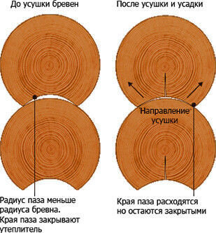 

Какие меры для защиты древесины деревянного дома стоит предпринять?