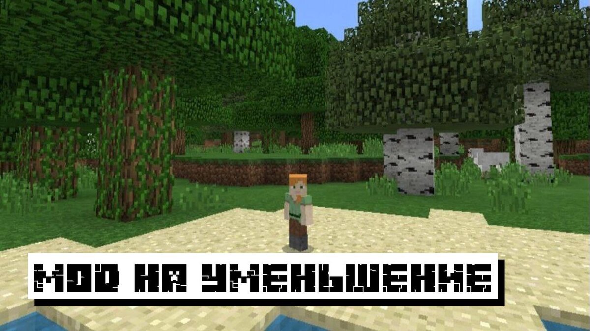 Скачать Мод на Уменьшение для Майнкрафт ПЕ: Изменение персонажа | Планета  Minecraft 2024 | Дзен