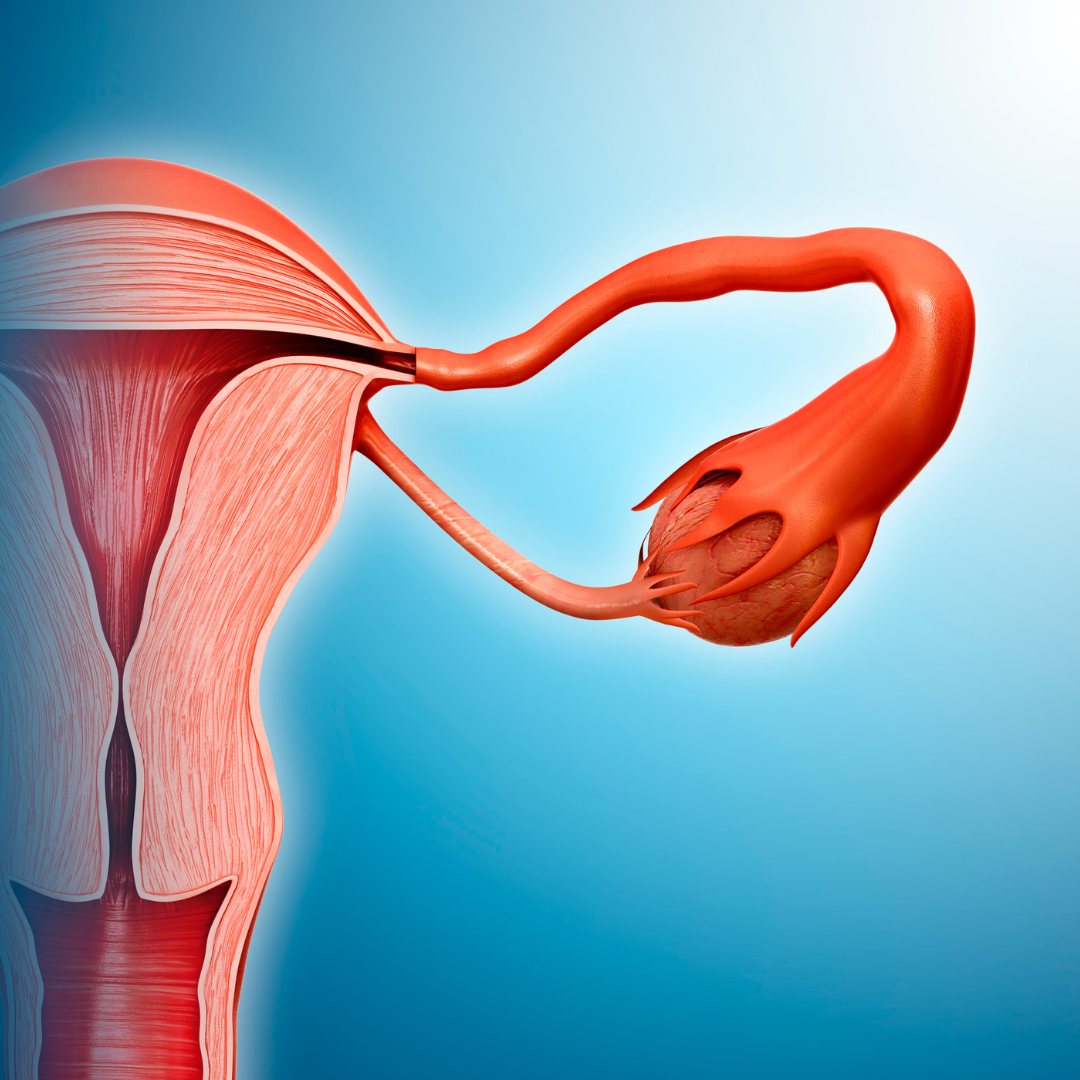 Маточная беременность. Боль в маточной трубе. Формы внематочной беременности. Боль в маточной трубе. Симптоматика внематочной беременности.