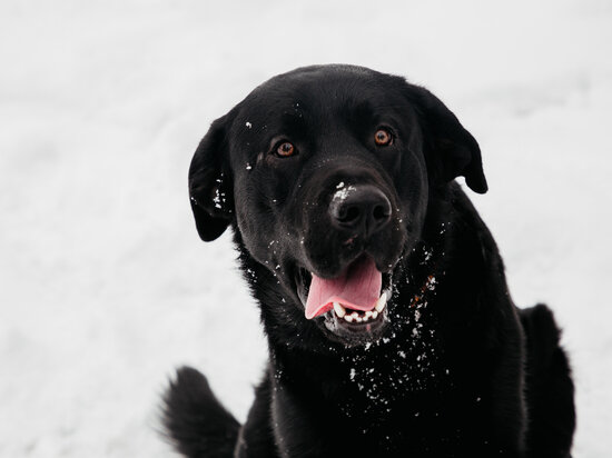   Кристина Белякова