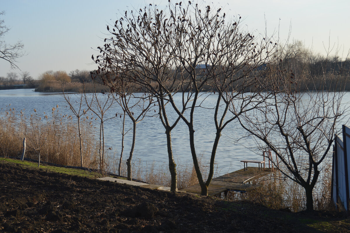 Фото автора.10.12.2022. Река "Кирпили". Хорошо иметь огород у речки! 