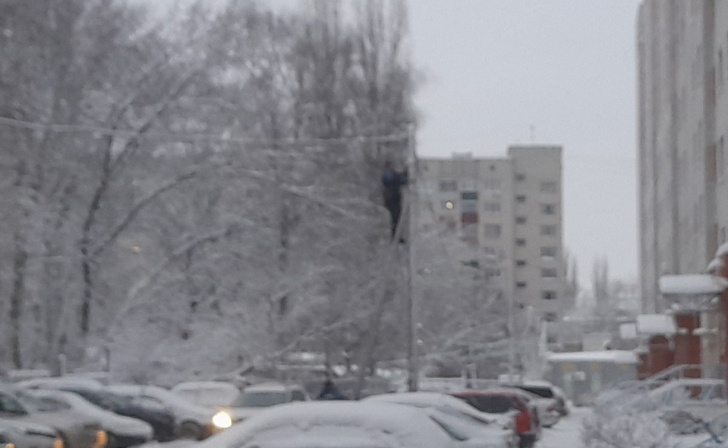    фото из архива Курских известий