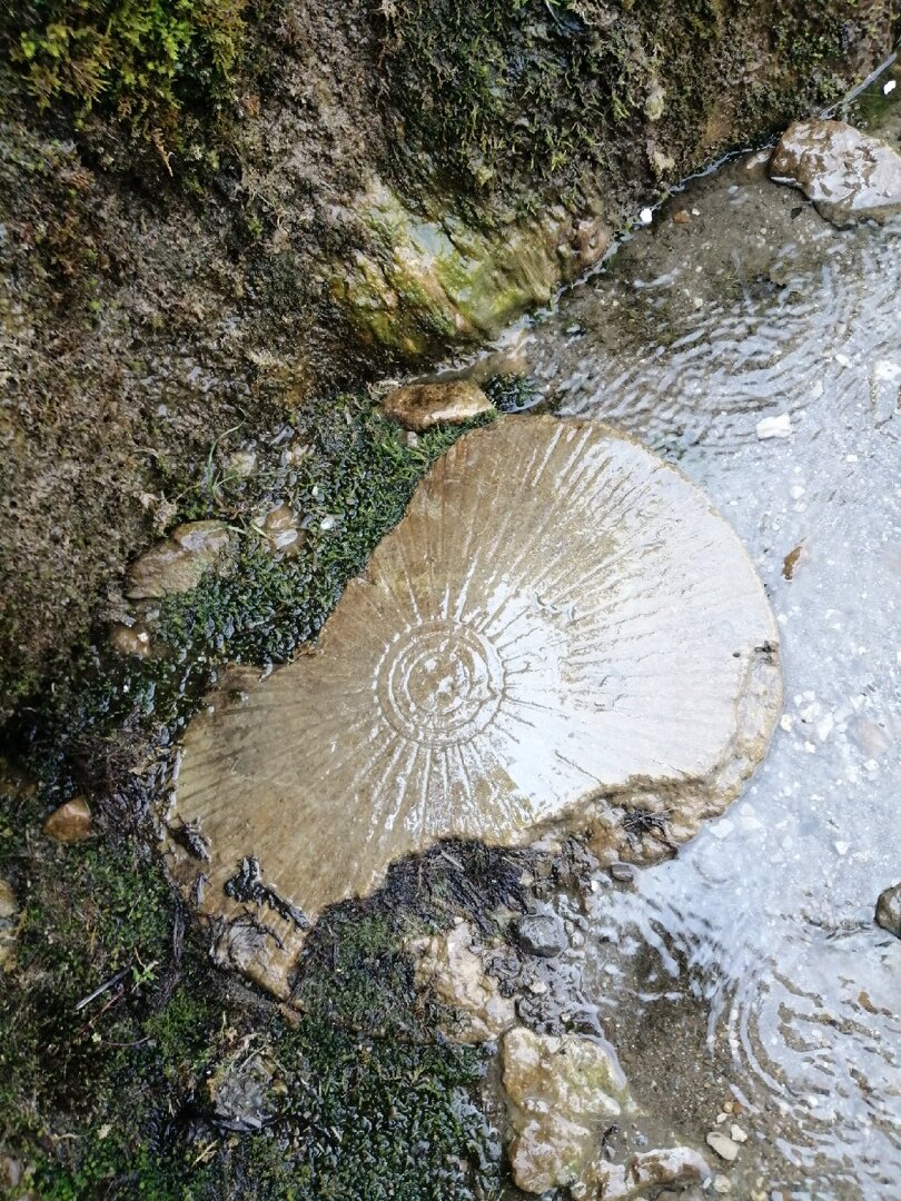 Этот осколок как бы сердолика уже известен множеству читателей Википедии, а благодаря копирайтерам, ещё и большему их количеству. Но сейчас он определяется как кварц, подвергнувшийся воздействию огнём.-51