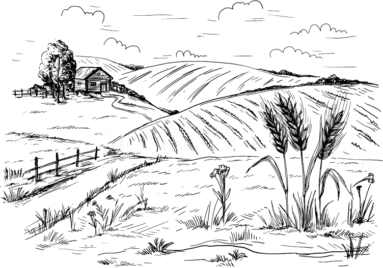 картинка из интернета
