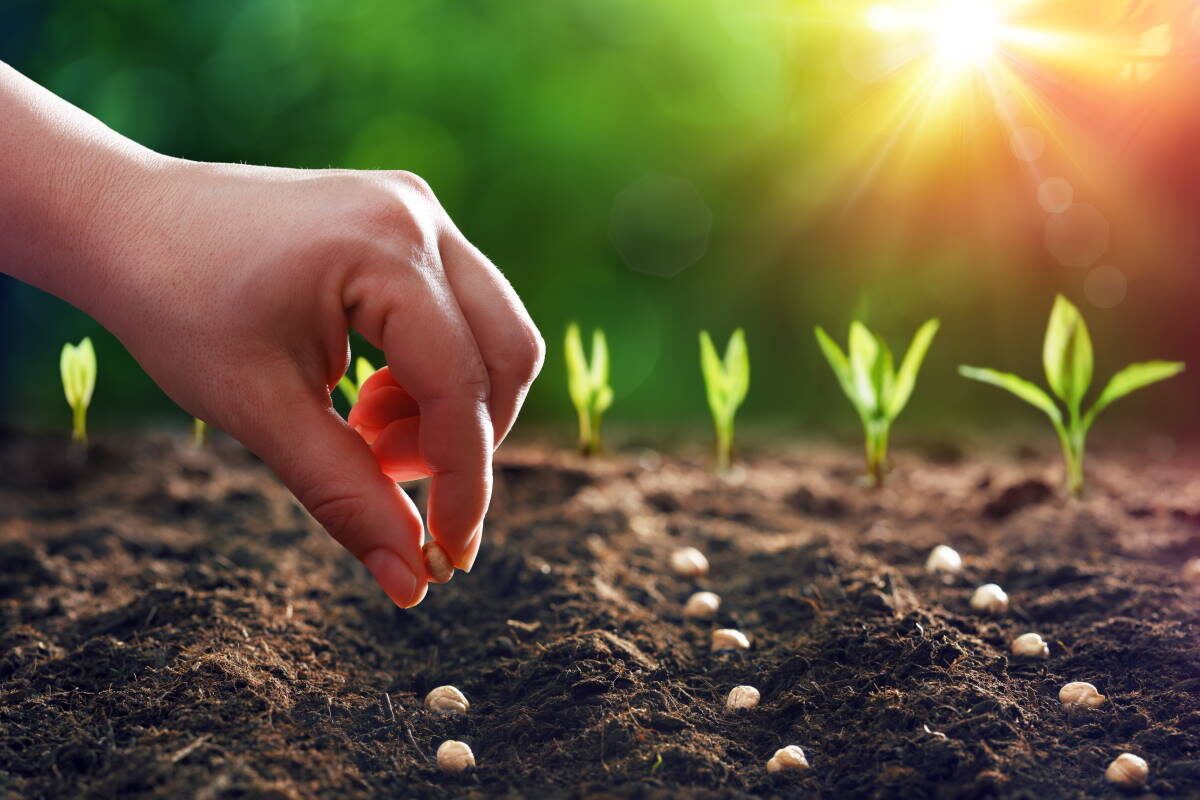    Фото: Romolo Tavani / shutterstock.com