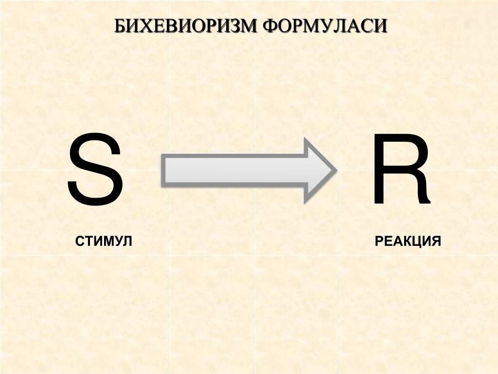 Кто прав, биологи или психологи? | Артем Приб биология поведения | Дзен