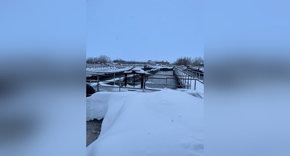     Фото предоставлено пресс-службой Администрации Главы РК