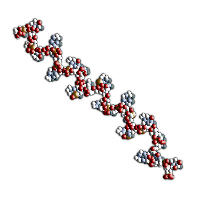 Молекула рнк построена. РНК одноцепочечная молекула. Цепочка РНК. РНК без фона. Модель молекулы РНК.
