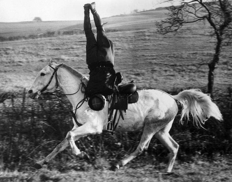 Есаул и его конь кубановедение. Есаул и его конь кубановедение. Казак на коне графика. Есаул и его конь кубановедение. Унгерн на коне.