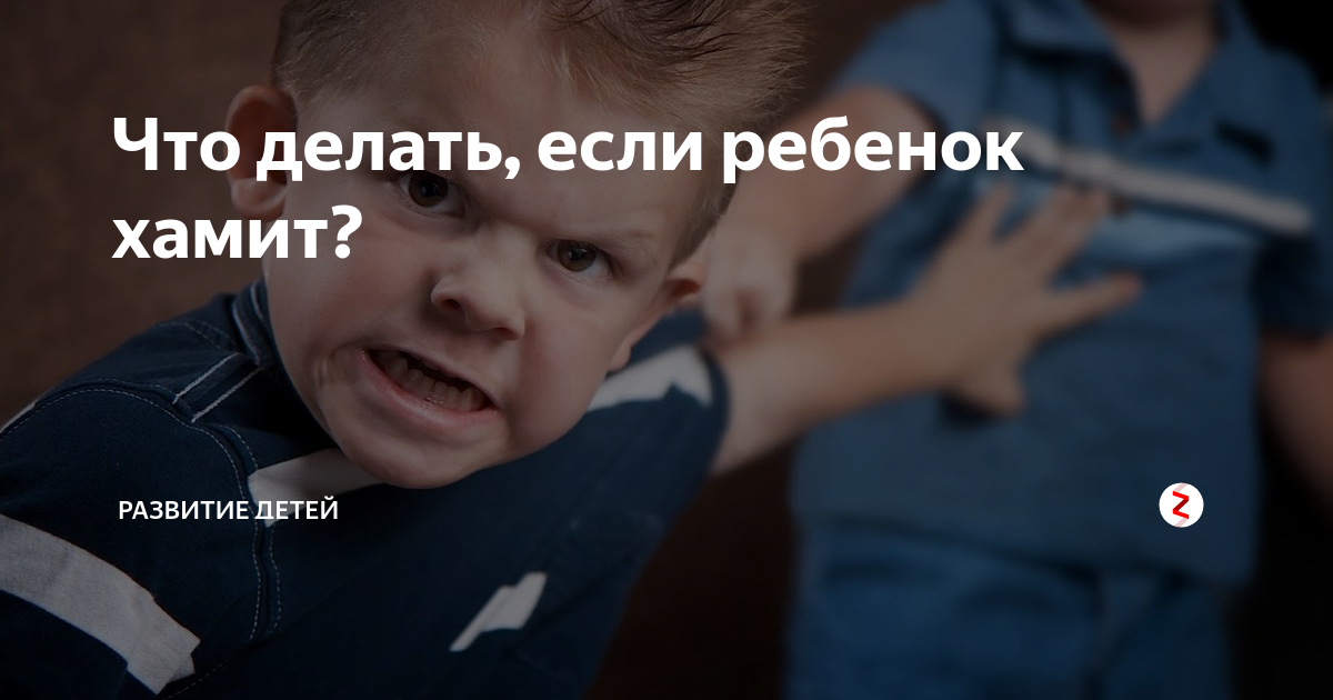 Что делать если родители хамят. Ребенок грубит. Если ребенок грубит. Ребенок дерзит. Ребенок хамит и огрызается.