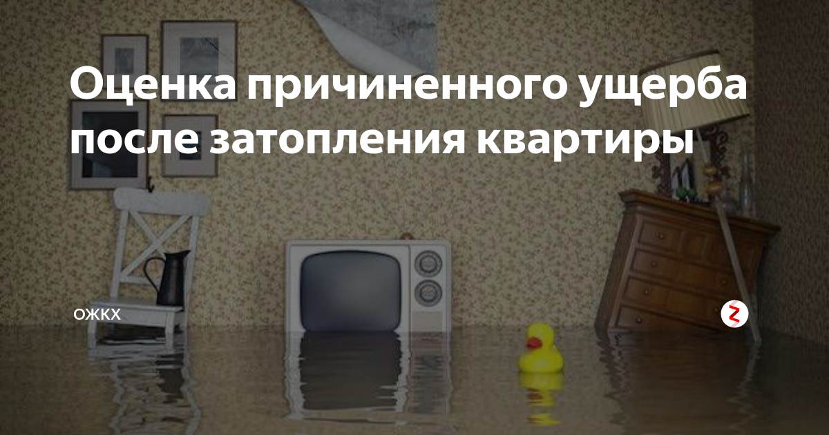 Оценка ущерба после затопления. Затопило квартиру. Оценка квартиры после затопления. Оценка ущерба при затоплении квартиры. Оценка ущерба при заливе квартиры.