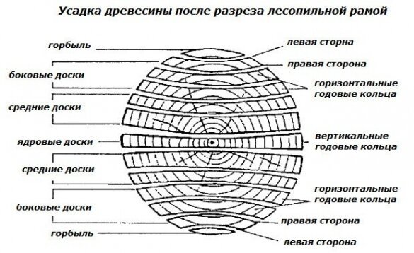 Выбор древесины: особенности разных пород