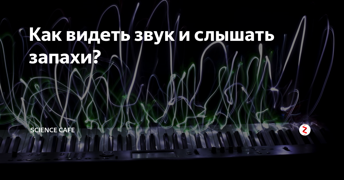 Как видеть звук и слышать запахи? | Science Cafe | Дзен