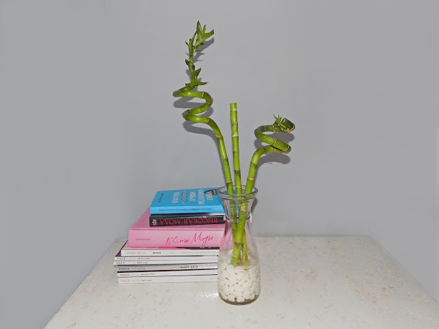 Длинный стебель я перерезала на две части. Я читала, что если отрезанный кусочек бамбука поставить в воду, он пустит корни. Надеюсь, так и будет, и я не испортила его:)Далее я поставила все три стебля бамбука в вазу и засыпала туда белые декоративные камешки.Бамбук отлично растет в воде, его необязательно садить в землю, поэтому последний шаг - заливаем воду в вазу. На самом деле, в воде бамбук растет даже лучше, чем в земле (по крайней мере, у меня так было).Как вам такая идея? Мне кажется, бамбук отлично смотрится в квартире и ухаживать за ним проще, чем за другими комнатными растениями. Он очень быстро растет и выпускает много новых листьев. Мне нравится! МОЙ БЛОГ
