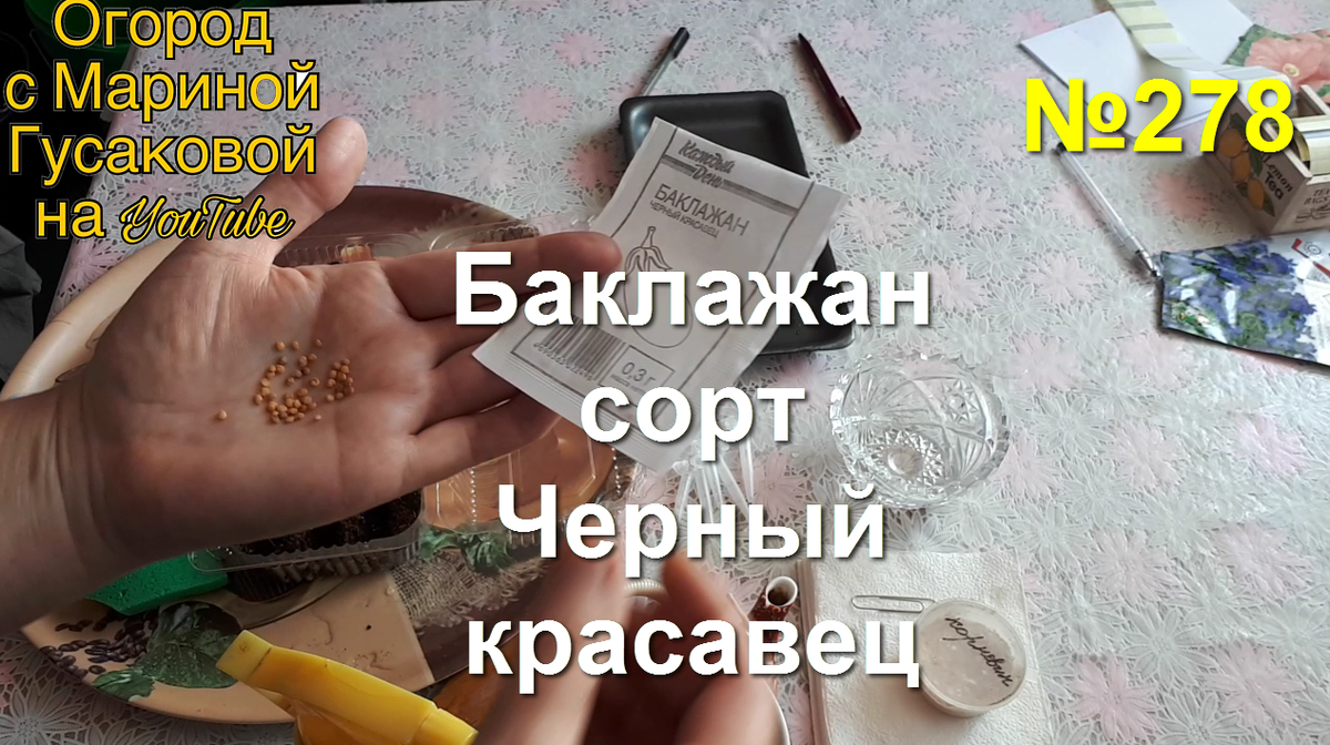 Приступаю к посеву семян БАКЛАЖАН на рассаду в феврале. Сорт Черный красавец – семена прошлого года