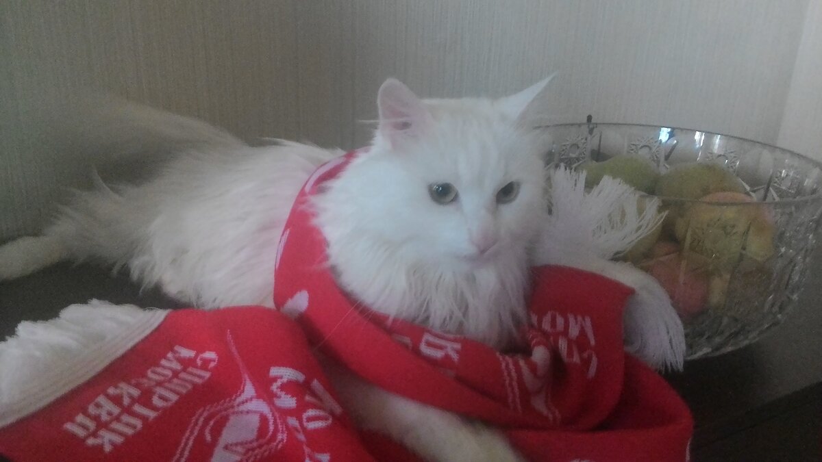 Всем шлёт привет