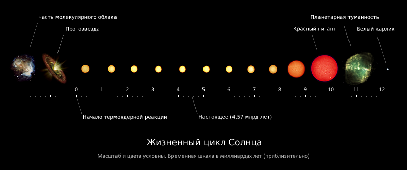 Жизненный цикл Солнца.