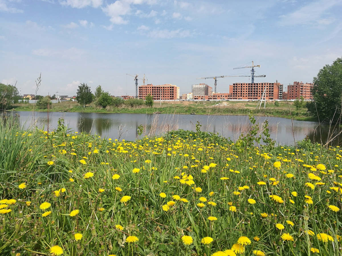 Улица гоголя 54 корпус 1. Детская площадка в томилино. Жк алфавит девяткино. Алфавит петрострой жк девяткино. Ночной дом.