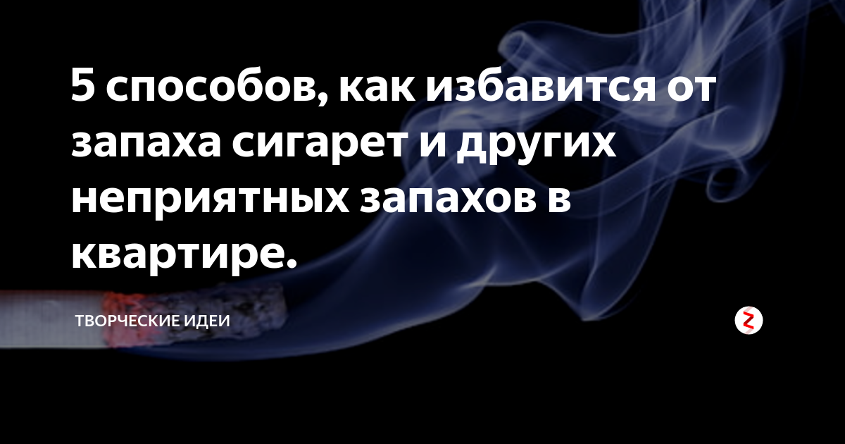 Как избавить от запаха. Избавление от запаха табака. Как устранить запах табака в квартире. Как избавиться от запаха табака в квартире. Как убрать запах сигарет из комнаты.