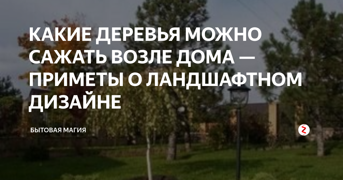 Ель возле дома приметы и суеверия. Какие деревья можно сажать возле дома приметы. Деревья на участке приметы. Какие деревья сажают возле дома приметы. Какие деревья нельзя сажать дома.