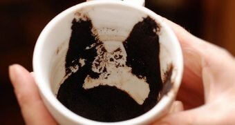 [caption id="attachment_8534" align="aligncenter" width="827"] На гуще прорисовалась голова дракона[/caption]