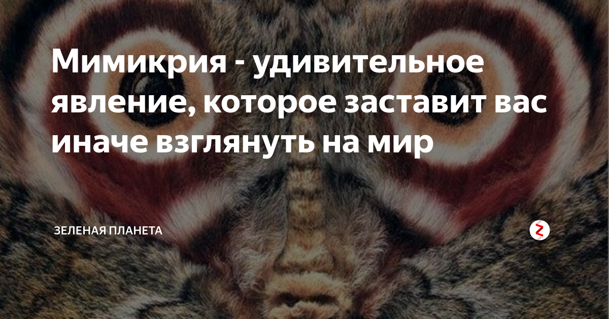 Взглянуть на мир иначе картинки