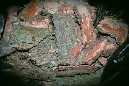 Обычная сосновая кора - лучший субстрат для орхидей