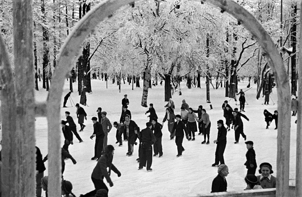 Картинка из открытого доступа          