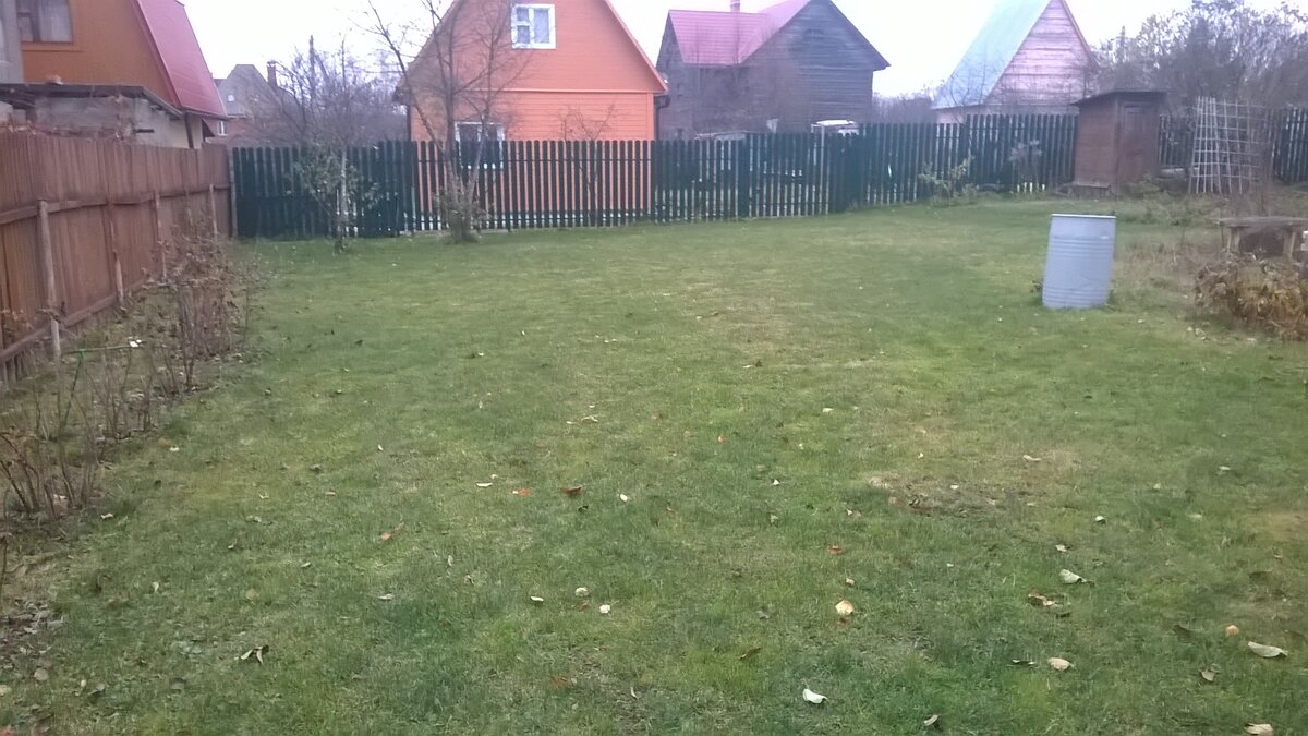 Часть большого газона. В следующем сезоне он будет переделан.