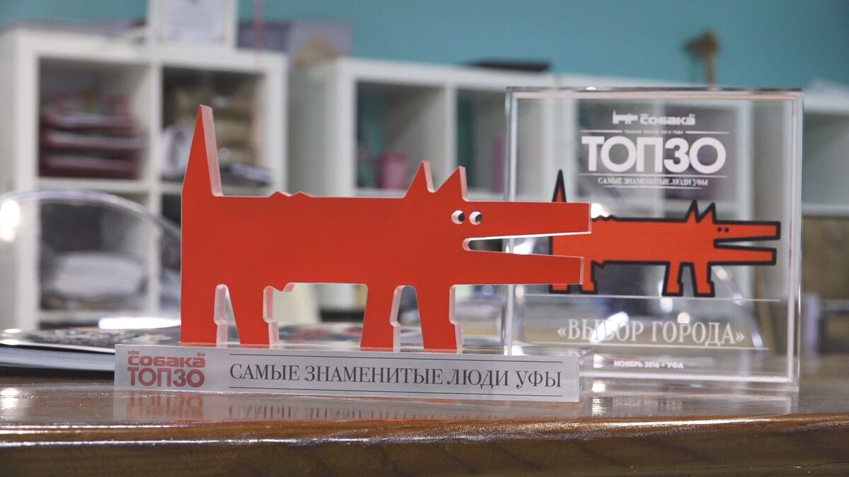 Одна из номинантов в «социальной сфере» Светлана Родионова. Именно она совместно с компанией «Уфанет» стала организатором проекта, благодаря которому наш город становится здоровее! В парках и скверах города проходят занятия по скандинавской ходьбе с профессиональными инструкторами. 