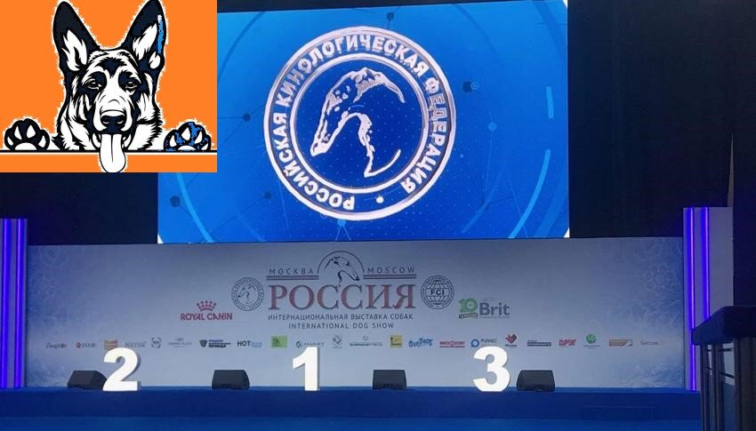 Подписывайтесь на канал. Делитесь публикацией с друзьями в соц. сетях.