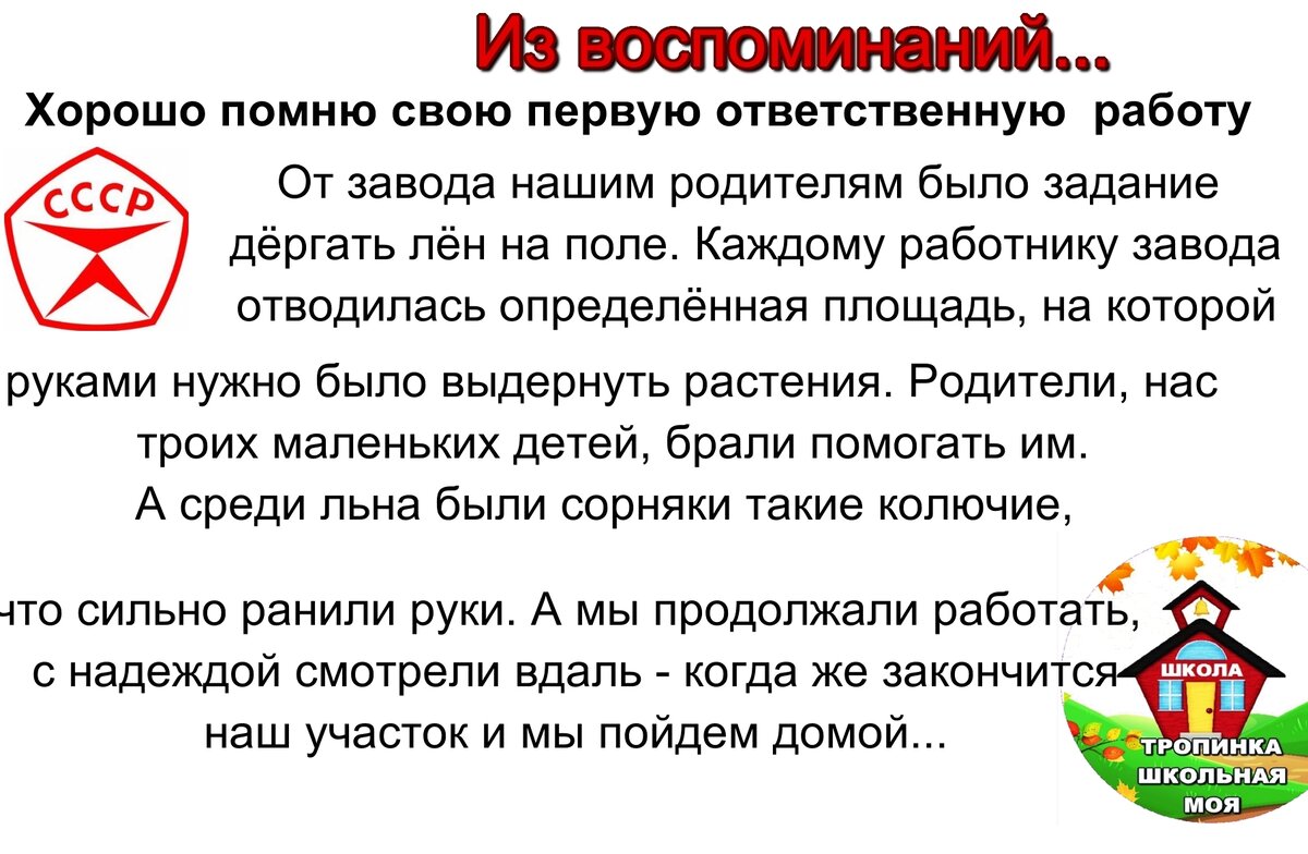 Школьные проблемы: Кто должен чистить снег? | Тропинка школьная моя | Дзен