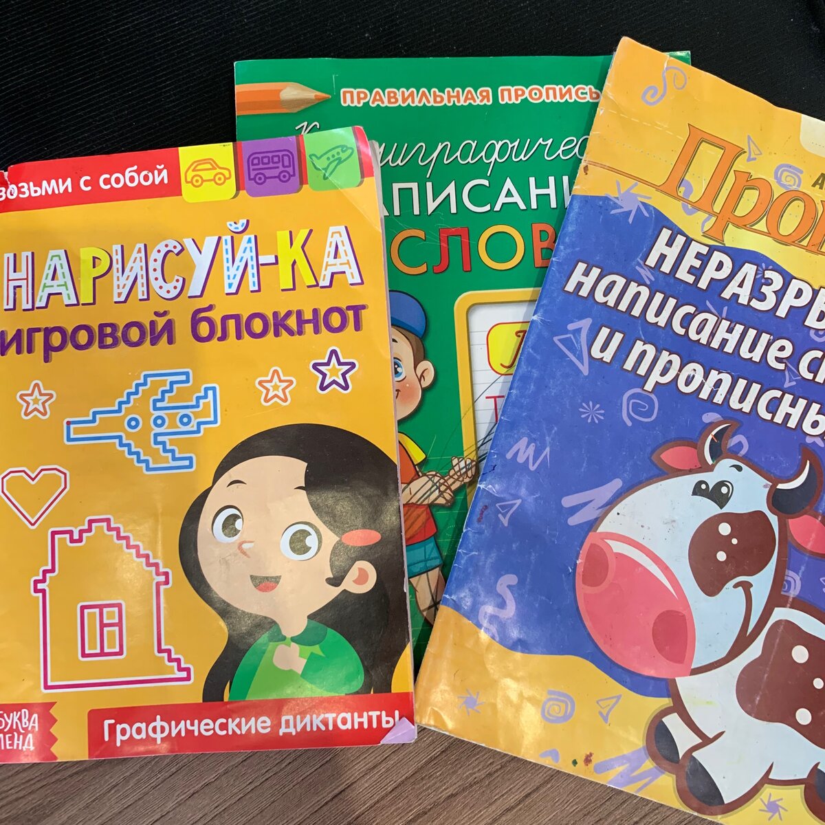  Рис: Материалы процесса обучения. Источник:Личное фото автора.