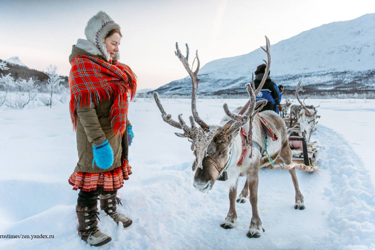 саамы лопари. лапландия саамы. ненцы в тундре. племя саамы. саамы лопари.