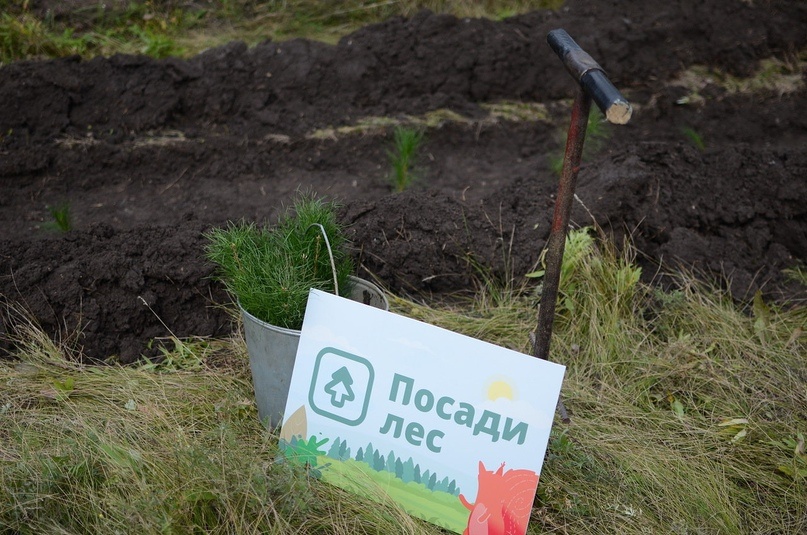 Фото: Движение ЭКА