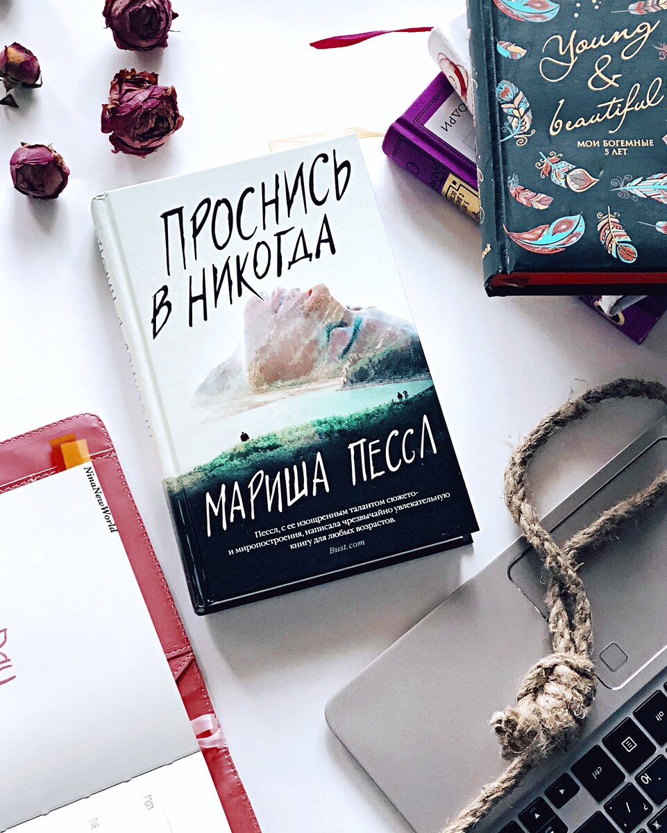 «Проснись в Никогда»  Мариша Пессл