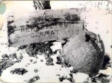 Алексей Павлов                                                                                                                                                   Звание: младший сержант, 1920 г.р.  
Ищут родственников сестры, Марии Васильевны Павловой, чтобы передать                     медаль «За отвагу»                                                                                                                                             
Когда погиб: 
24 августа 1944 года
 Где: Белоруссия