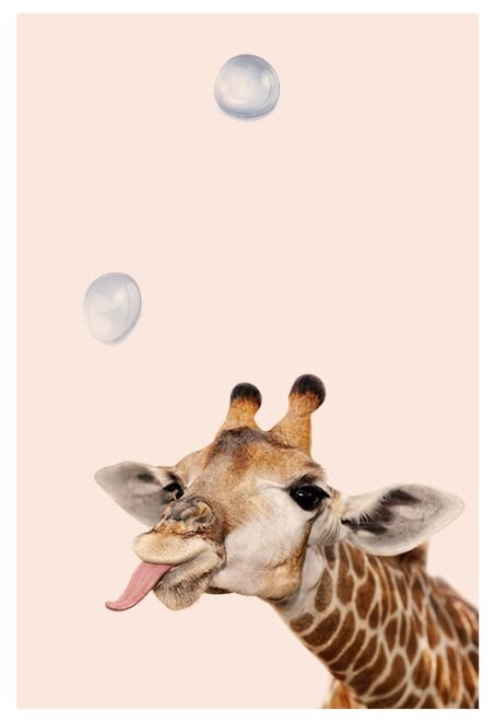 Изображение взято из открытого источника Pinterest