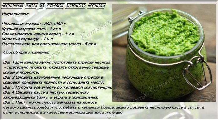 Маринованные чесночные стрелки