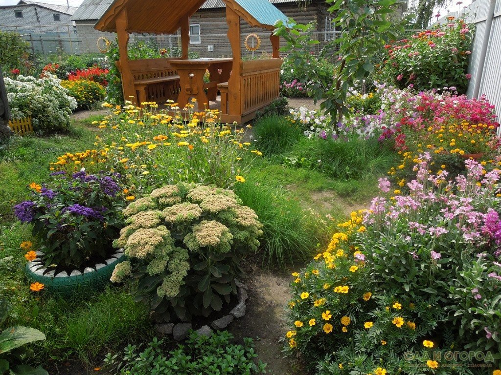 Использование рудбекии в ландшафтном дизайне Backyard garden, Fence landscaping,