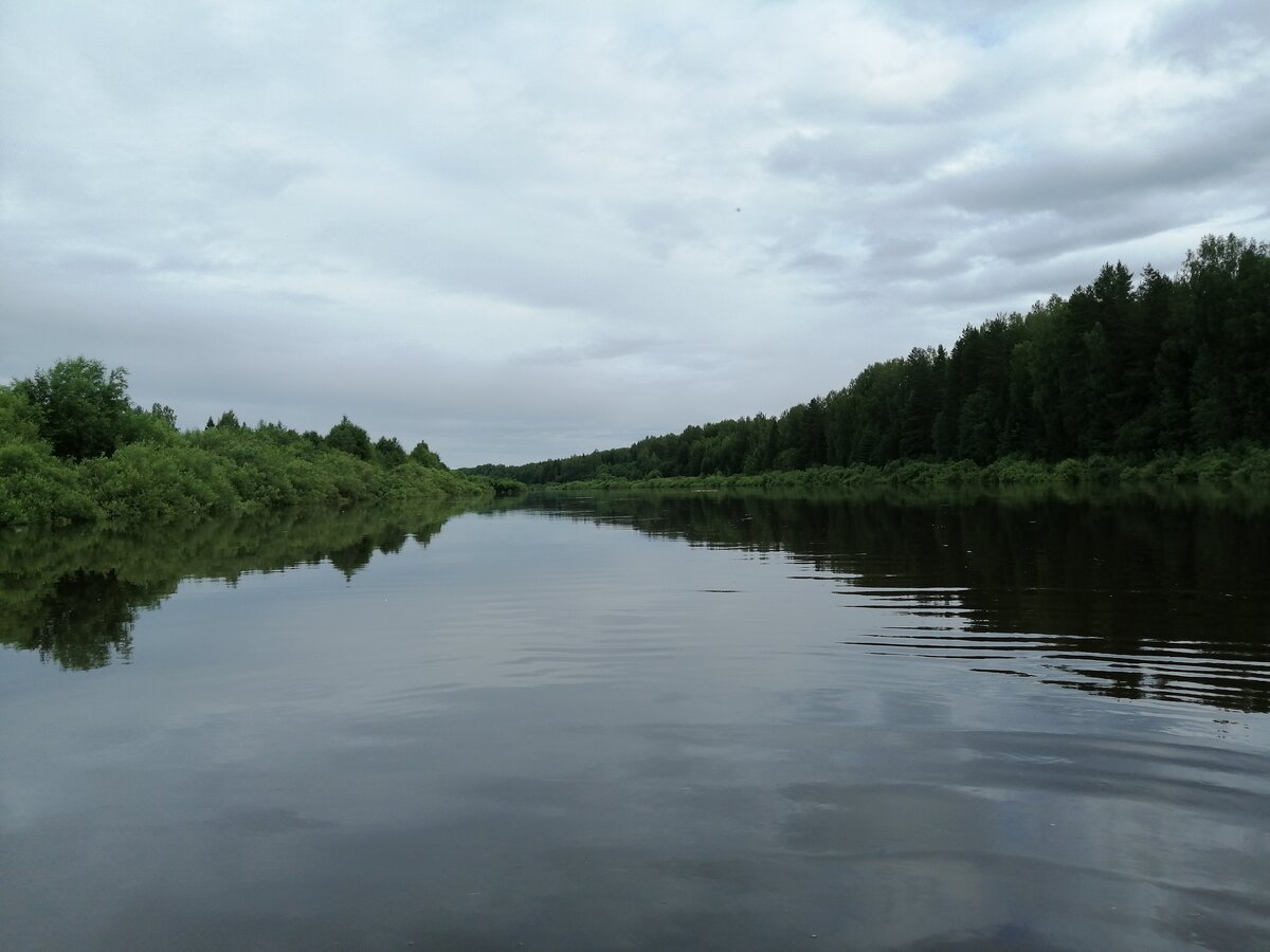 Река Унжа Костромская