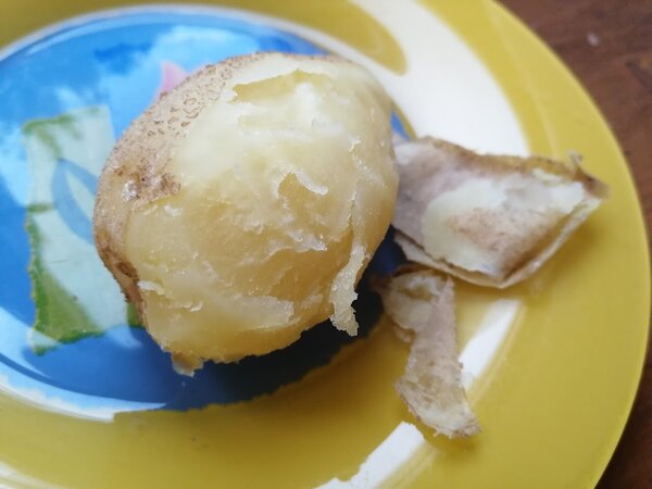 Попробуйте запечь картошку в микроволновке. Это очень вкусно! И быстро.
